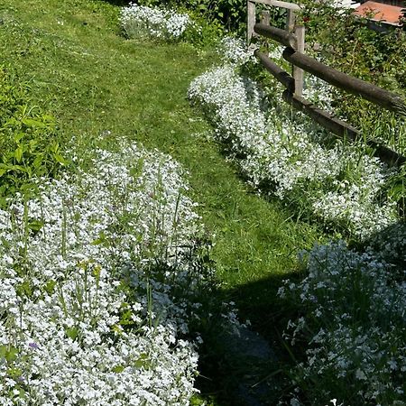 Huguette Studio 18M2 Courchevel Zewnętrze zdjęcie